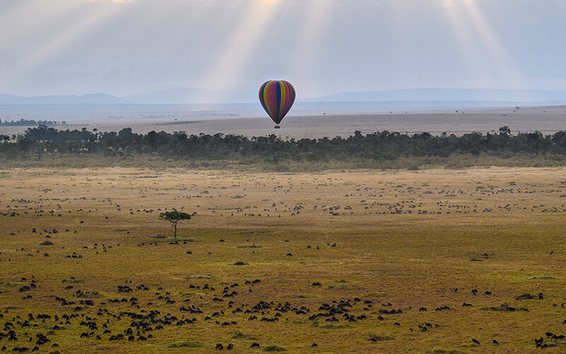 Serengeti Balloon Safari