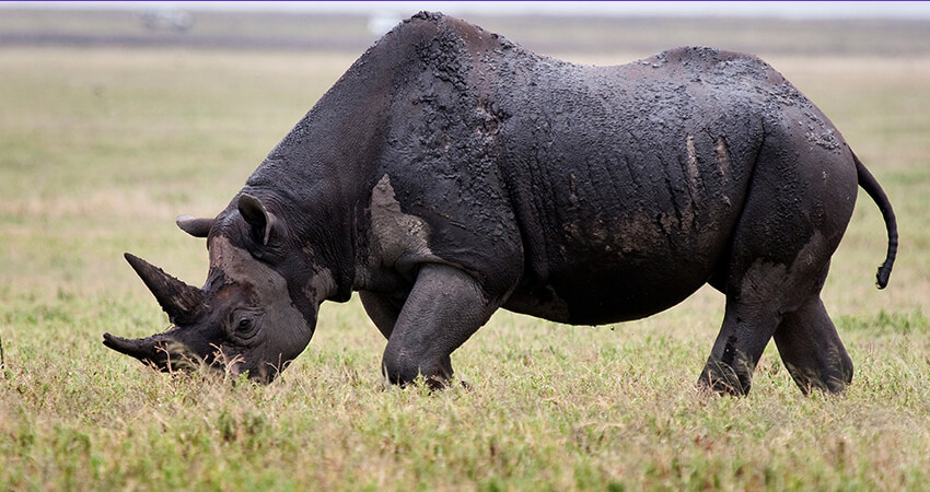 tanzania safari packing list