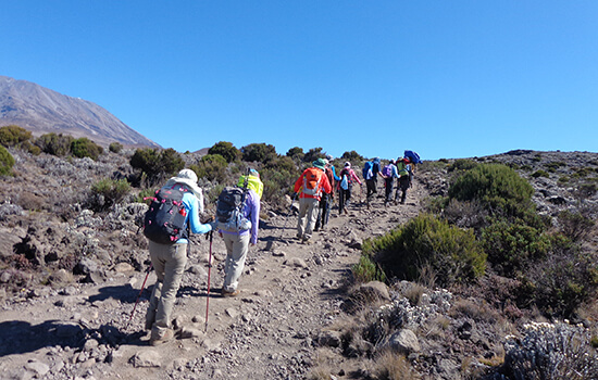 Kilimanjaro Lemosho Route