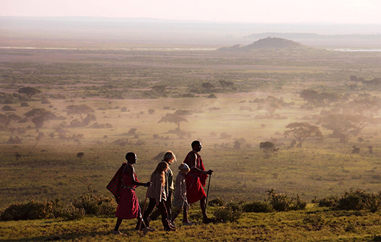 Kenya safari tours